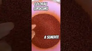 COMO VOC&Ecirc;S PREPARAM O COLORAU? #horta #ro&ccedil;a #COLORAU