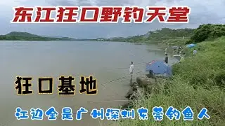 东江狂口野钓天堂，江边全是广州深圳东莞人，几百公里前来暴富