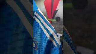 Adidas Official India Cricket ODI Replica Jersey | Jersey | Crickstore