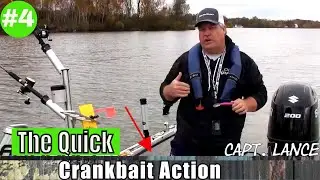 The Quick: Crankbait Action