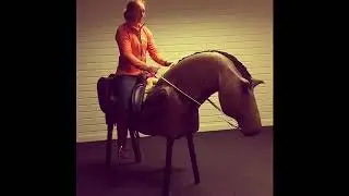 De 4de rit op Marado's Joker