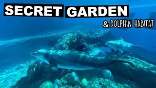 Vegas Unlocked:   Secret Garden & Dolphin Habitat | The End Of A Vegas Era