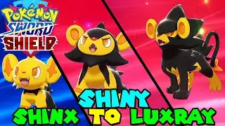 Evolving SHINY SHINX to SHINY LUXRAY in Pokemon Sword & Shield