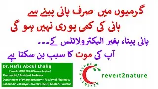 Drinking Only Water is Not Enough to Rehydrate Your Body in Summer | revert2nature