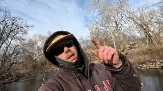 Catching Big Catfish In A Tiny Creek