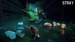 Stray Game - Chase Scenes
