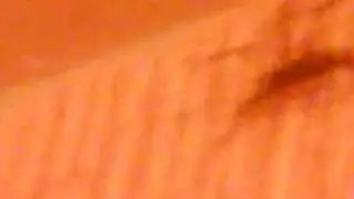 Big Ugly Spider