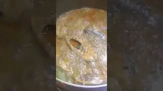 Hilsha fish curry with Coconut milk 🐟🥥 #love #cooking #fish