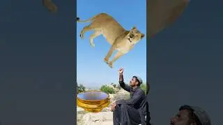 Islamic video for vfx #vfx #islamicquotes #islamicvideo #islamicshorts