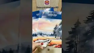 CANVAS Pad From Meesho📝🖌️#painting #meesho #art #youtubeshorts #painting #artist #meeshofinds