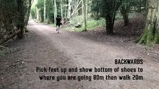 Tempo : Multi-Direction