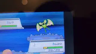 Shiny Zubat found in Heart Gold Slowpoke Well after 7555 REs! (Heart Gold Badge Quest #3)