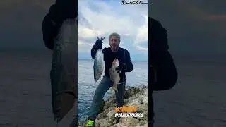 Shorejig avım sabahsuyu g&uuml;zelleri sinarit ve yazılı orkinos. #shorejig #baracuda #fishing