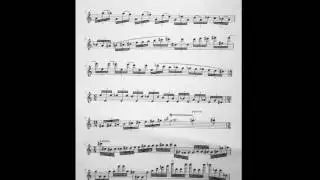 Markus Sch&ouml;newolf: Gigue for Flute Solo
