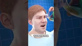 Что делать, если сом схватил вас за руку? #факты #факт #facts #интересно #чтоделать #сом #sobaken