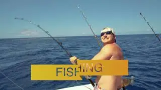 Captain Mikes Fishing and Whale Watching