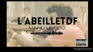 L'abeilletdf - MANU LE COQ (audio)