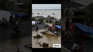 Flood Caused By Typhoon Paolo