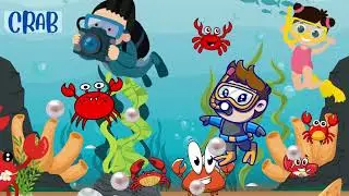 Learn Sea Animals | Fun Ocean Adventure for Kids | Underwater Animals for #kidslearning  #kidssongs