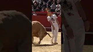 🏆 CAMPE&Oacute;N DE FALLAS 2025 🔥 &ldquo;EL RUSO&rdquo; #tricks #recortadores #fallas #bull