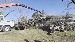 Removing an uprooted tree from a tornado off a house with grapple saw truck 