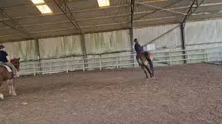 Riding exam 3 canter no stirrups