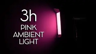 3-Hour Pink Ambient Light &ndash; Pink Fill Light for Photography, Video & Focus