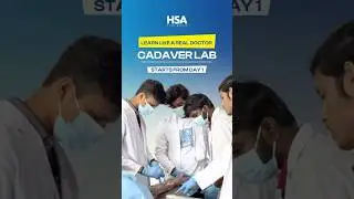 Anatomy You Can Touch: Cadaver Lab Experience at BAU Georgia