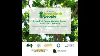 Breadfruit People Webinar 3 - Food Security