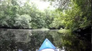 Kayaking Deep Creek Conservation Area, Hastings, FL