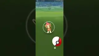 Shiny chimchar appeared in pokemon go battle league - pokemon go