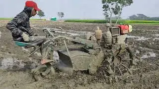 পাওয়ার টিলার দিয়ে আধুনিক পদ্ধতিতে ধান চাষের জমি প্রস্তুতি உழவன் RiceCultivation​कृषि Another