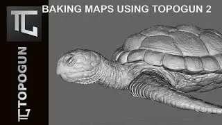 Carey Turtle Baking Maps using TopoGun 2 - Part 07