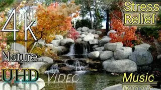 Stress Relief Music, Relaxation Music, Meditation, 4k Drone shoot, Nature Short Ambient, calm