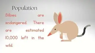 Interesting Facts About Bilby