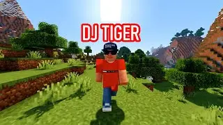 DJ Tiger Live Mix 🎧 | Dance Hits & Party Beats