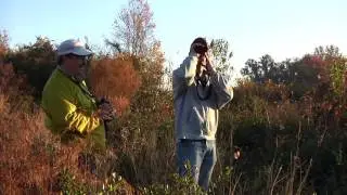 Restoring Lake Apopka: A Story of Success