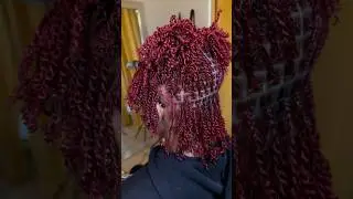 Mini twists on natural hair. #minitwists #minitwist #minitwiststyles #naturalhair