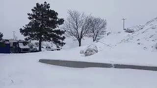 Trip to kirckland