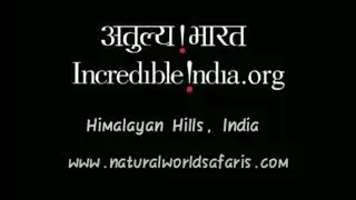 Incredible India | Himalayan Hills | Beautifull Hill station in Asia | Pavan Photography