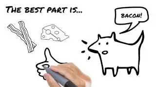 BEST PROBIOTIC PREBIOTIC SUPPLEMENT FOR PETS
