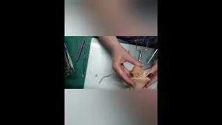 Creative process for Scarlet