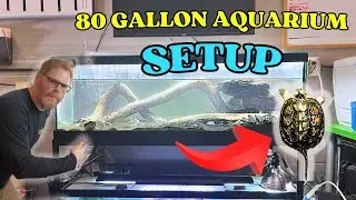 80-GALLON AQUARIUM Setup for SNAPPING TURTLES! 🐢🔥