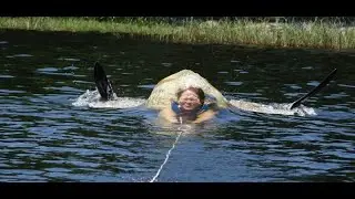 Fails Of The Week Instant Regret Like A Boss Compilation