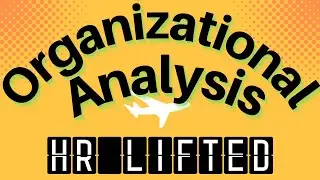 Organizational Analysis