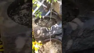CREATE PEACEFUL AND RELAXING SOUND IN YOUR GARDEN #garden #waterfountain #backyard #relaxing
