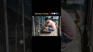 ⚓️🇺🇸The compassion and dedication our #military #volunteers showed in Fiji #SPCA The USS Frank Cable