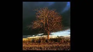 Matt - [05] Esperan&ccedil;a (Dark Light)