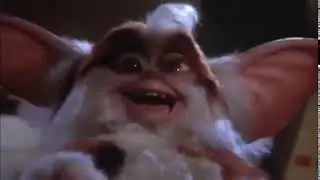 Mogwai Laugh