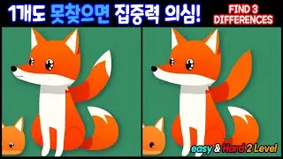 [다른그림찾기] 한개도 못찾으면 뇌건강 적신호! 집중력을 발휘하세요 [틀린그림찾기 Find the Difference]